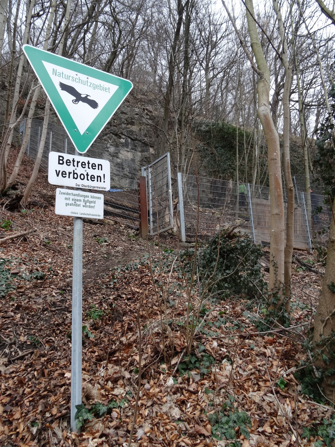 Auch das Verbotsschild zum Naturschutz hält natürlich nicht ab (Foto: M. Baales)