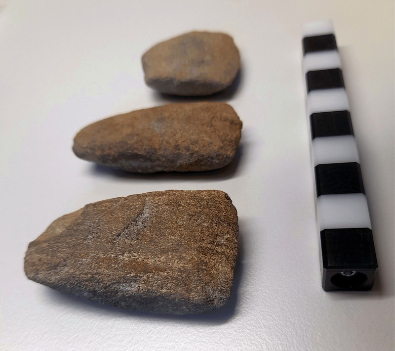Zu den Oberflächenfunden zählen auch einige Beile und Axtfragmente, die der Holzbearbeitung dienten (Foto: LWL-Archäologie für Westfalen/A. Philippi).