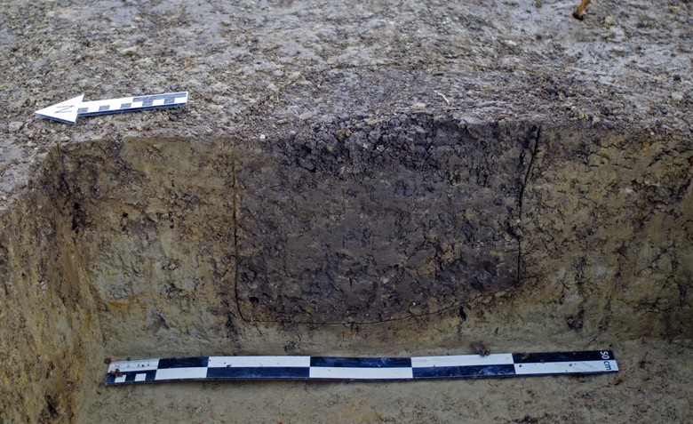 Profil eines Pfostens (Foto: Goldschmidt Archäologie & Denkmalpflege/R. Roth).