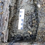 Warstein-Melkeplätzchen. Lage des menschlichen Haarzopfes innerhalb einer der Tragen. – Foto: LWL-AfW Olpe/Matthias Müller-Delvart. (vergrößerte Bildansicht wird geöffnet)