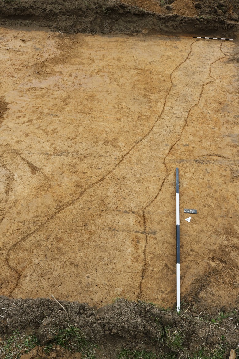 Fröndenberg. "Der schmale Graben" - Ein Teilstück im Planum. - Foto: Thomas Poggel/LWL-AfW Olpe.