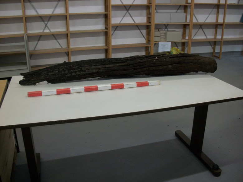Dieser Ast sollte einzige Holzfund der gesamten Ausgrabung bleiben, der dendrochronologisch datiert werden konnte (Foto: LWL-Archäologie für Westfalen/J. Hallenkamp-Lumpe).