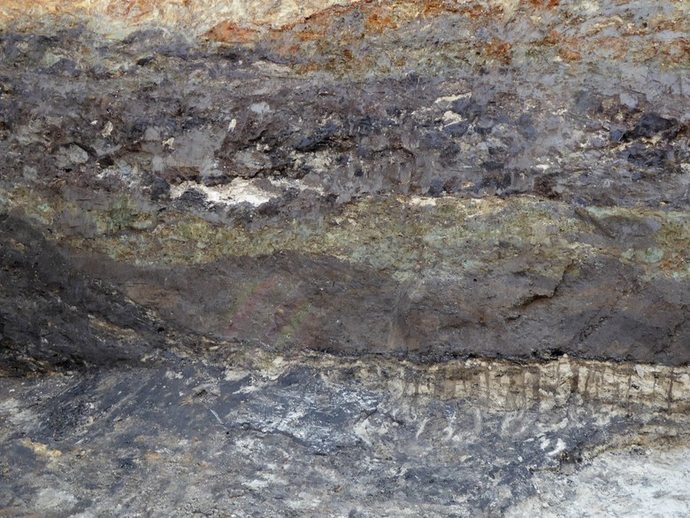 Übergangsbereich zwischen Graben und Sandauffüllung mit Astschicht (Foto: LWL-Archäologie für Westfalen/J. Hallenkamp-Lumpe)