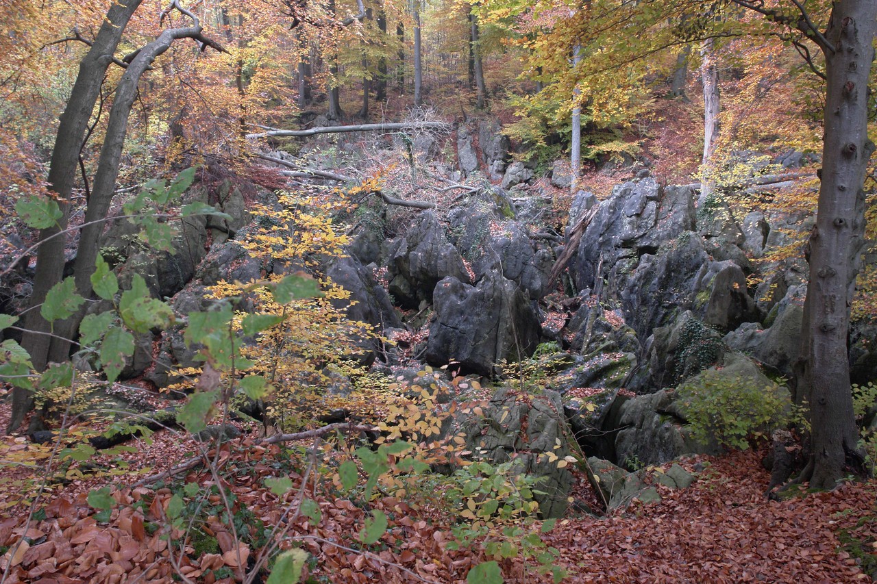 Das Felsenmeer verdankt seinen Namen einem charakteristischen Relief aus Kalkrippen, Gräben, Einzelfelsen, Pingenzügen und Mundlöchern (Foto: LWL-Archäologie für Westfalen/H. Menne).