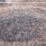 … wozu ein weiterer langrechteckiger Grubenmeiler zählt (Foto: LWL-Archäologie für Westfalen/M. Müller-Delvart) (vergrößerte Bildansicht wird geöffnet)