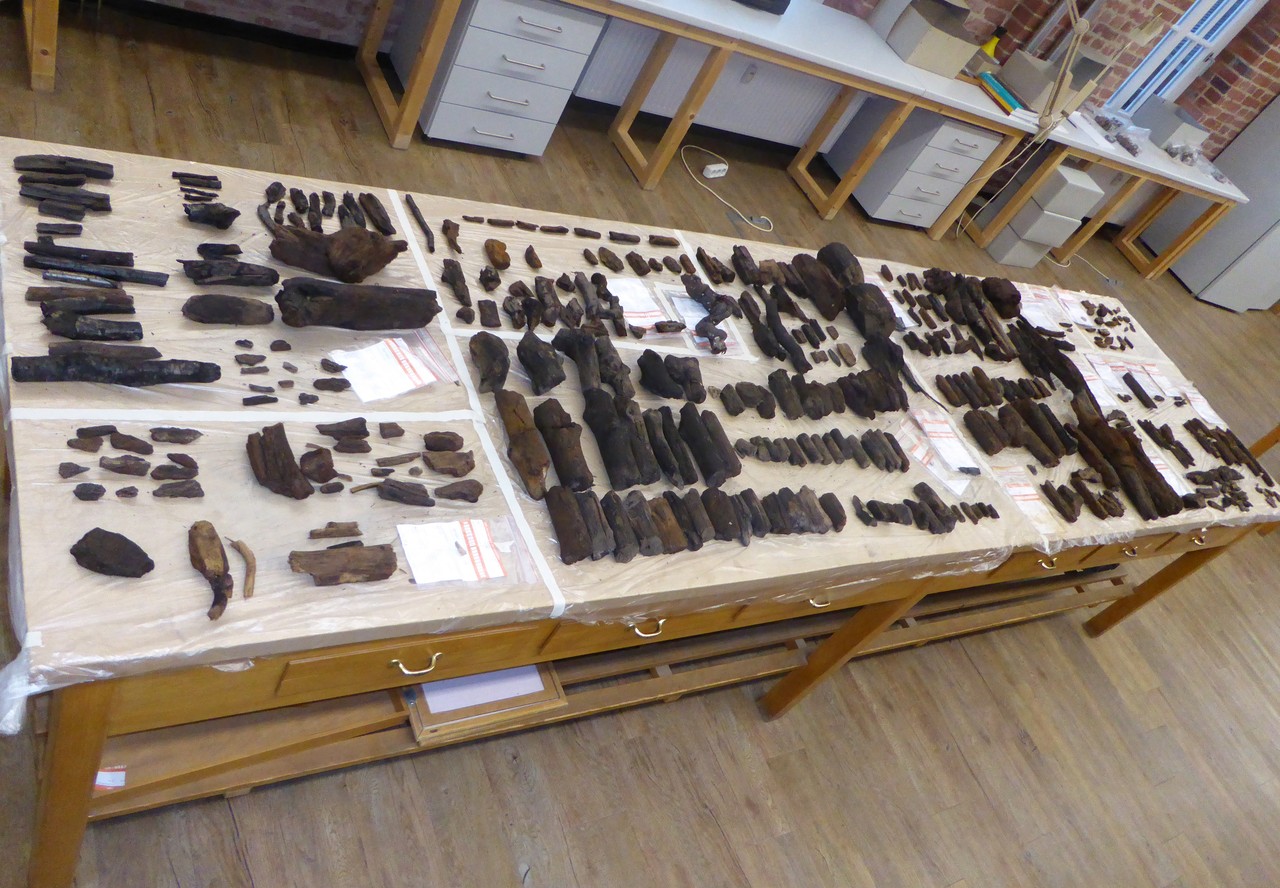 Zahlreiche geborgene Nassholzfragmente müssen bestimmt und untersucht werden (Foto: LWL-Archäologie für Westfalen/J. Hallenkamp-Lumpe).