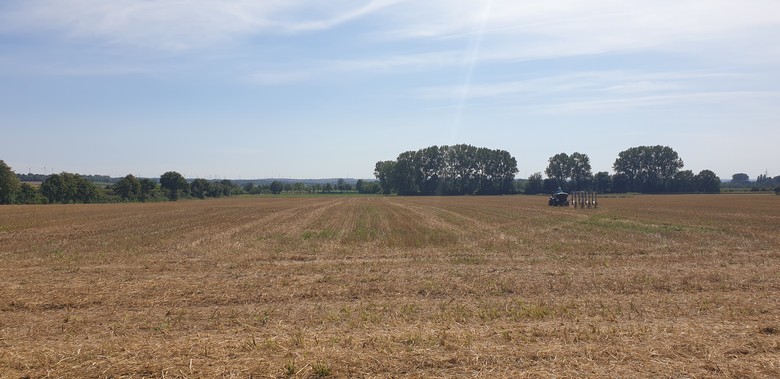 Foto: LWL/V. Grieshaber