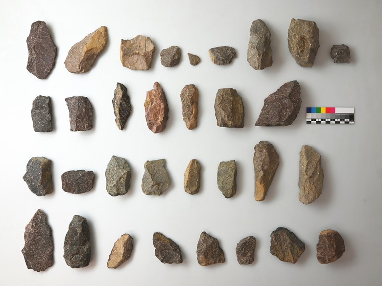 Eine Auswahl verschiedener Abschläge, Kerne, Halbfabrikate, Messer, Keilmesser und Schaber aus Salzkotten-Oberntudorf (Foto: LWL-Archäologie für Westfalen/C. Schepers).