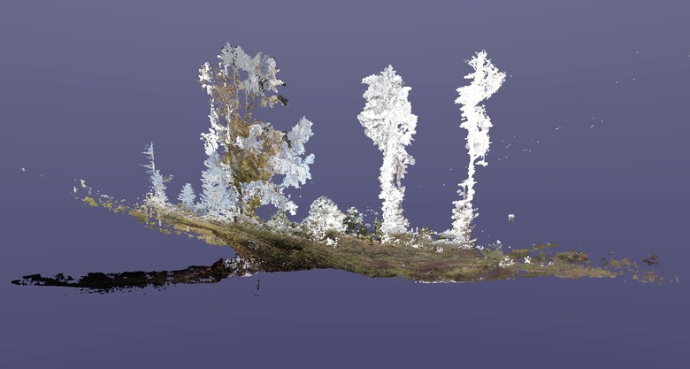 Mit wenigen Scans wurde das Stollenmundloch und der vordere Stollenteil gescannt. Diese Punktwolke (Screenshot) muss nun referenziert und weiterbearbeitet werden (Grafik: LWL-AfW Olpe/T. Poggel)