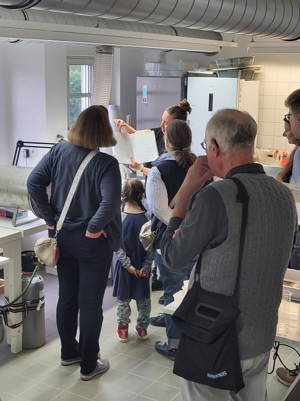 Eine Gruppe Besuchende in den Restaurierungswerkstätten. Foto: LWL-AfW/S. Pechtold