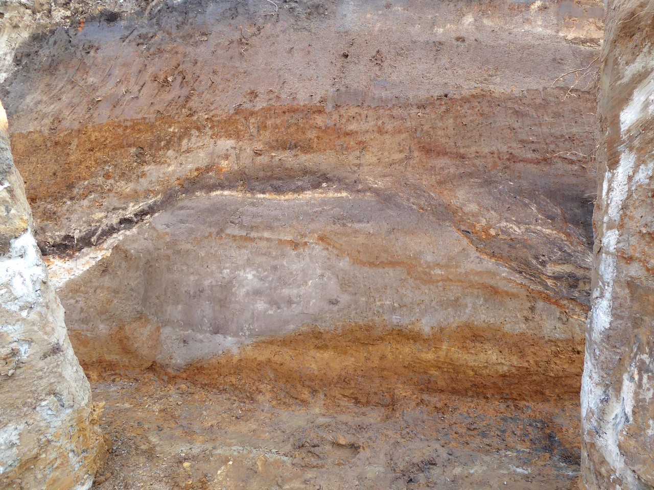 Beim Abbaggern der Fläche war der Wall aufgrund tiefgründiger Auffüllungen auf der Parzelle nicht mehr vorhanden (Foto: LWL-Archäologie für Westfalen/J. Hallenkamp-Lumpe)