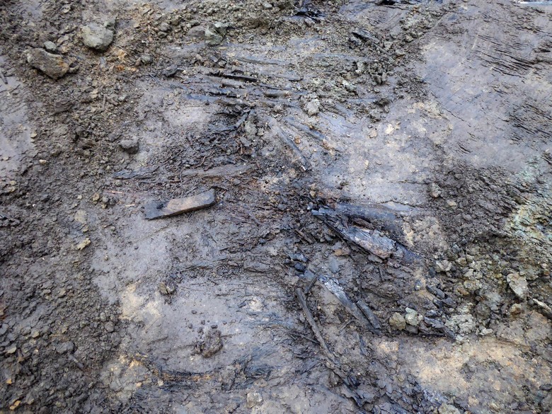 An einigen Stellen war noch zu erkennen, dass die Äste parallel nebeneinander gereiht worden waren, doch war der Befund insgesamt bereits stark gestört (Foto: LWL-Archäologie für Westfalen/J. Hallenkamp-Lumpe)