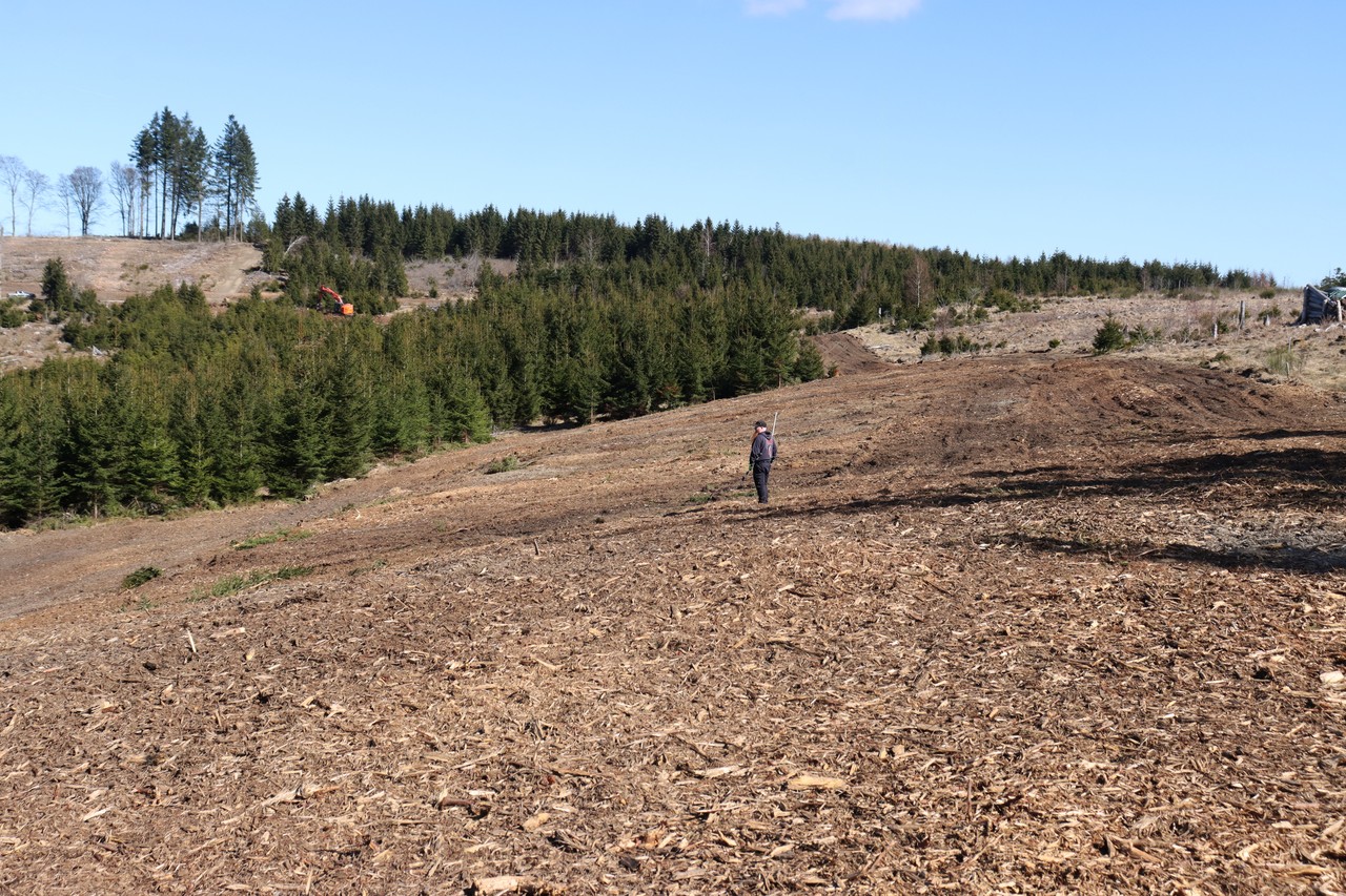 Die Maßnahmenflächen beim Bau der Windparks sind riesig und erheblich größer als nur die Standfläche des Windrades. Hier im Bild ist die Kranstell- und Lagerfläche für ein Windrad zu sehen, deren Vegetation bereits abgemulcht wurde (Foto: LWL-AfW Olpe/Fabian Geldsetzer)