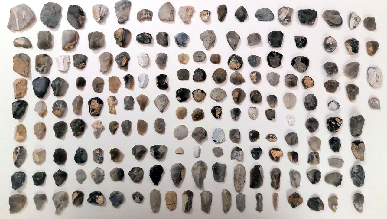 Geräte wie diese Kratzer konnten zahlreich durch Hermann Pongratz aufgelesen werden (Foto: LWL-Archäologie für Westfalen/A. Philippi).