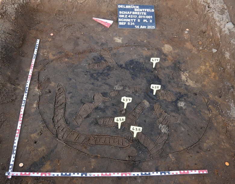 Nur scheinbar unscheinbar: Das Brandgrubengrab Befund 531 im Planum. Die gelben Kärtchen markieren metallene Beigaben in der Grube, die hellen schraffierten Flächen sind Tiergänge, die das Grab durchziehen (Foto: EggensteinExca/Sven Knippschild).