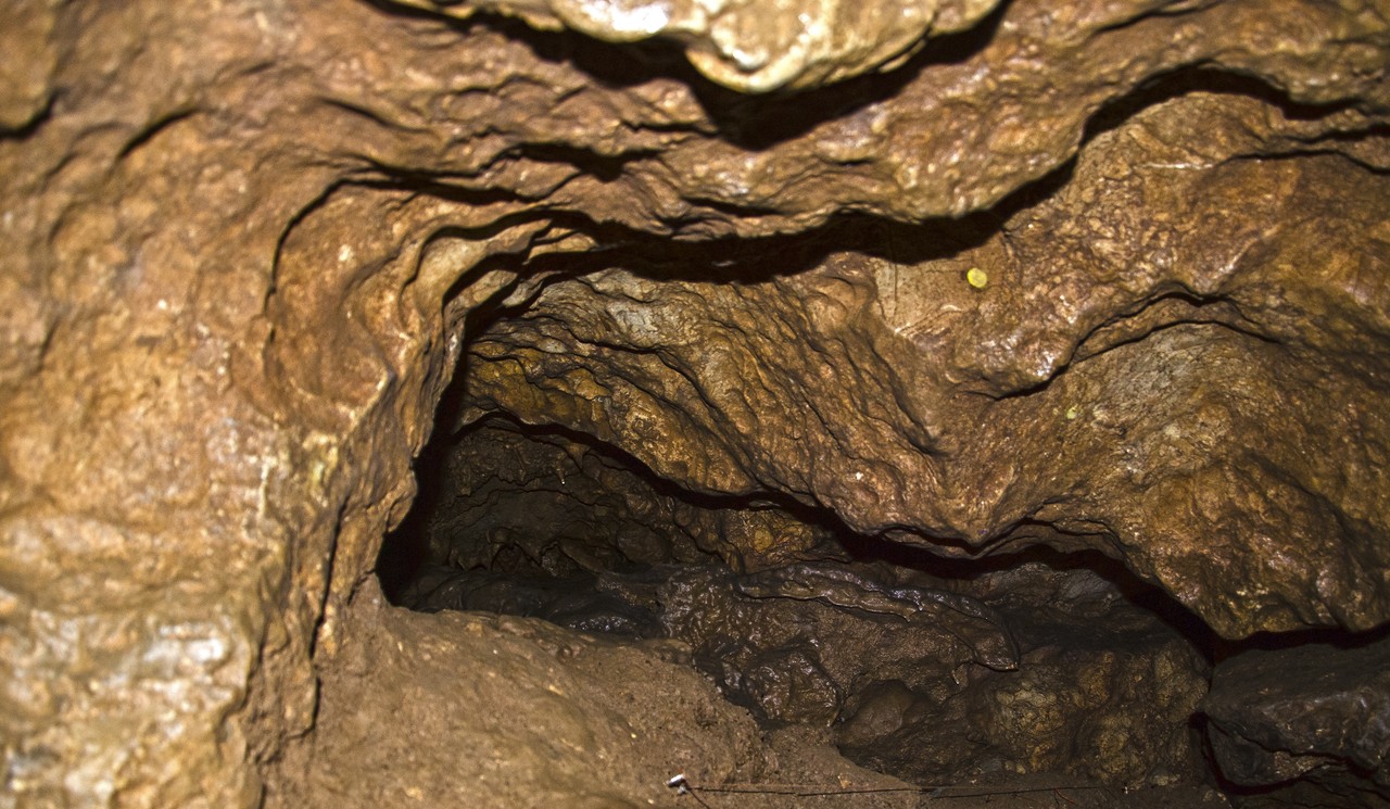 Blick in die Höhle.