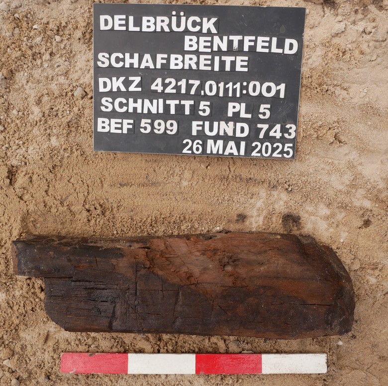 Rätselhafte Ritzungen: Handelt es sich dabei vielleicht um eine frühe Form von Zimmermannszeichen? (Foto: EggensteinExca/Sven Knippschild).