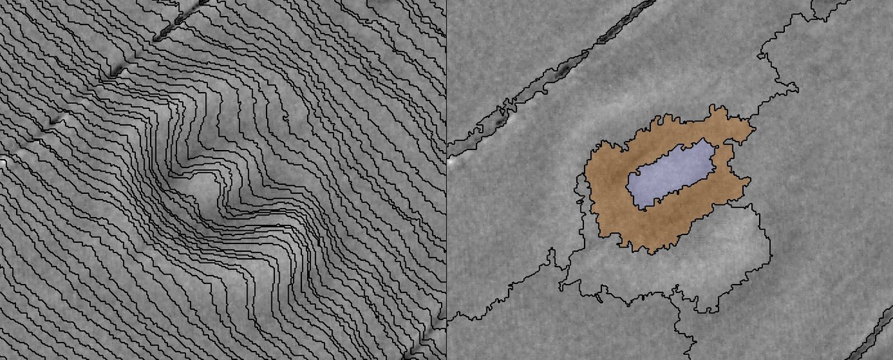 Eine Motte