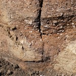 Die vertikalen Risse in der Ofenwand enden unten stets im eingegrabenen Bereich des Ofens (Foto: LWL-Archäologie für Westfalen/M. Zeiler). (vergrößerte Bildansicht wird geöffnet)