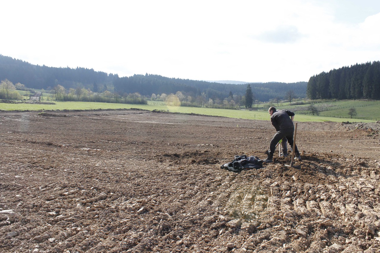 Nicht nur für das eigentliche Fundament der Windkraftanlagen, sondern auch für den Standort des Baukrans sowie das Materiallager erfolgen bei der Erschließung des Windparks bei Apollmicke großflächige Bodeneingriffe. Das Erkennen archäologisch relevanter Spuren gleicht hier der Suche nach der berühmten Nadel im Heuhaufen (Foto: LWL-Archäologie für Westfalen/M. Zeiler)