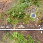 Ein Teilabschnitt der Fundamentmauer (Foto: LWL-Archäologie/N. Wolpert). (vergrößerte Bildansicht wird geöffnet)