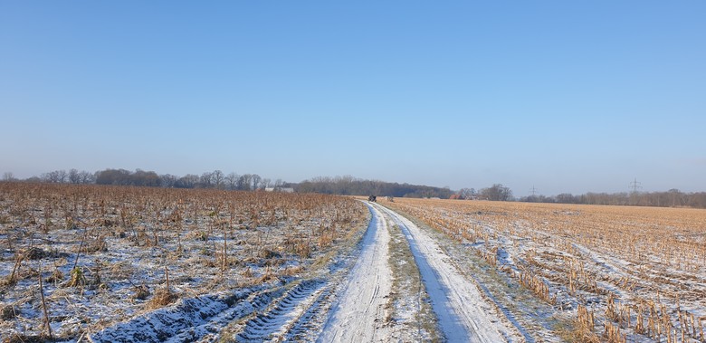 Foto: LWL/V. Grieshaber