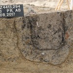 Eine kleinere Pfostengrube mit Pfostenstandspur außerhalb des rekonstruierten Gebäudes (LWL-Archäologie für Westfalen/T. Poggel). (vergrößerte Bildansicht wird geöffnet)