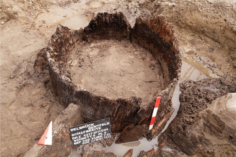 Die drei Baumstammsegmente der Brunnenröhre wurden vollständig gesichert und sollen jetzt weiter untersucht werden (Foto: EggensteinExca/Sven Knippschild).