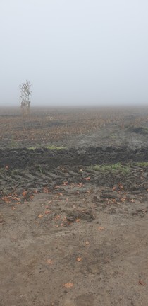 Foto: LWL/V. Grieshaber