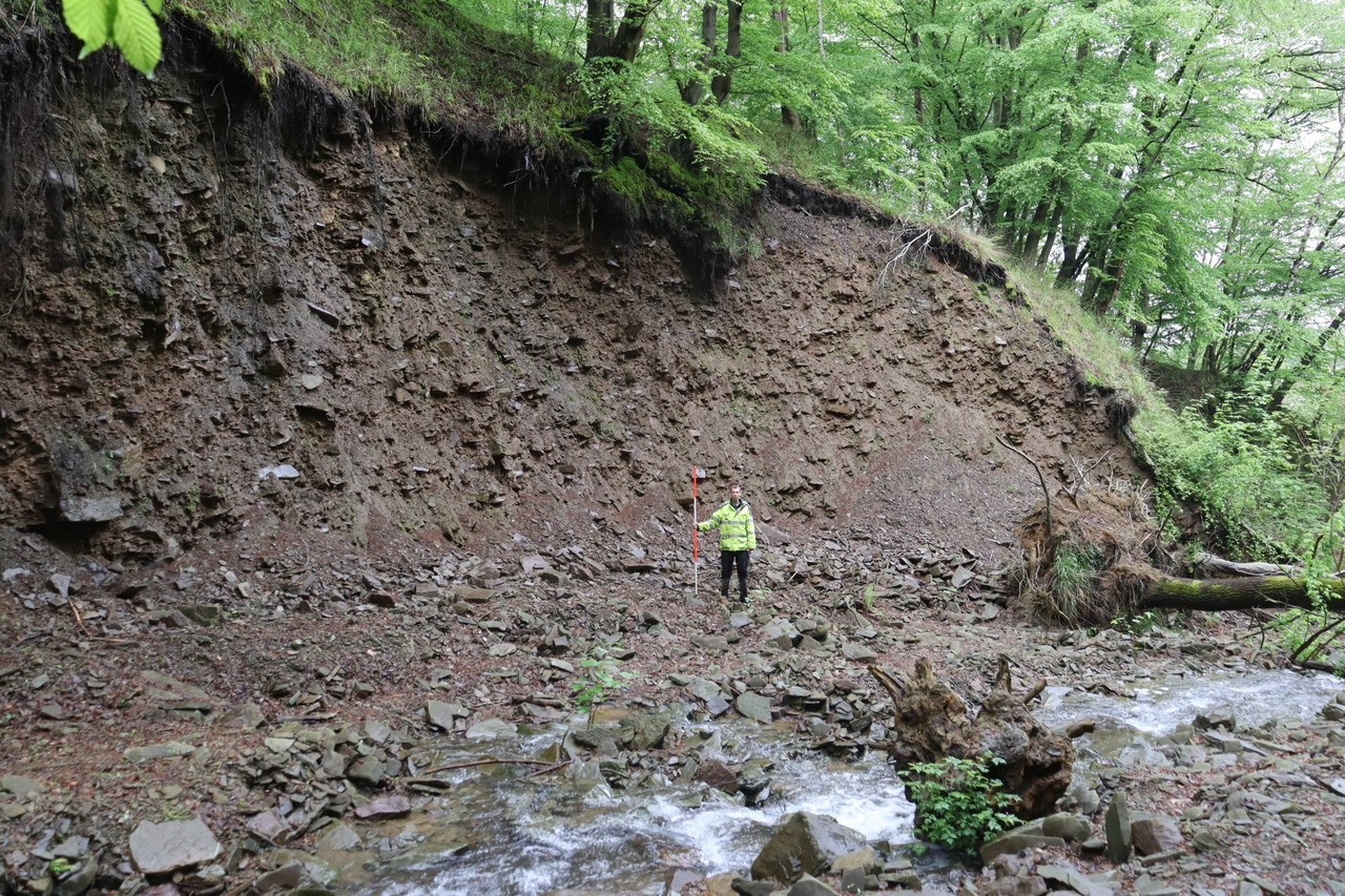 Eine mehrere Meter hohe Abbruchkante/Erosionskante an der Uferböschung des Fährbaches bei Hagen-Hohenlimburg mit fortschreitendem Erosionsbild. – Foto: LWL-AfW Olpe/Daniel Riemenschneider.