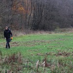 Meschede-Eversberg. Gelbe Sticker markieren die Sondenfunde. – Foto: LWL-AfW Olpe/Manuel Zeiler. (vergrößerte Bildansicht wird geöffnet)