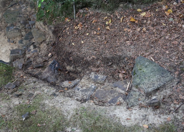 Die Mauer wurde über ein kurzes Stück durch Bodenabtrag auch von oben her verfolgt. – Foto: LWL-AfW Olpe/Arne Koch.